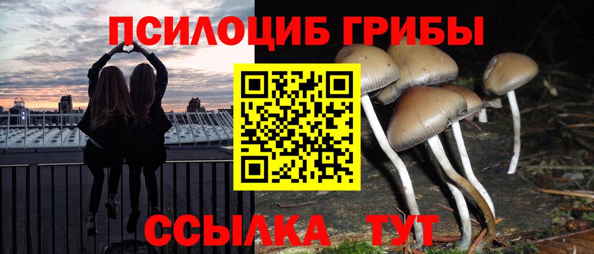 Псилоцибиновые грибы ЛСД Можайск